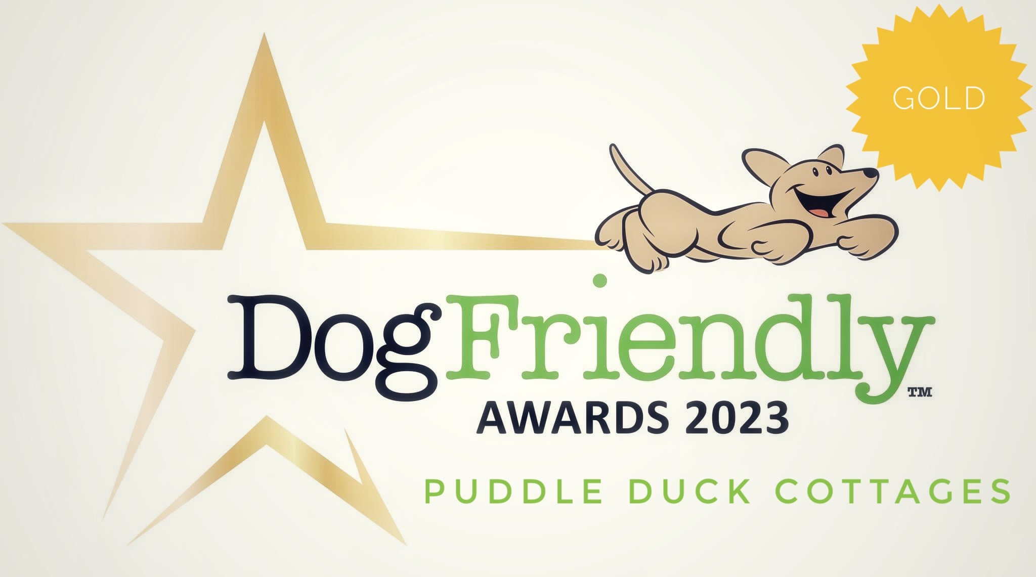 Dog Friendly Awards Gold 2023